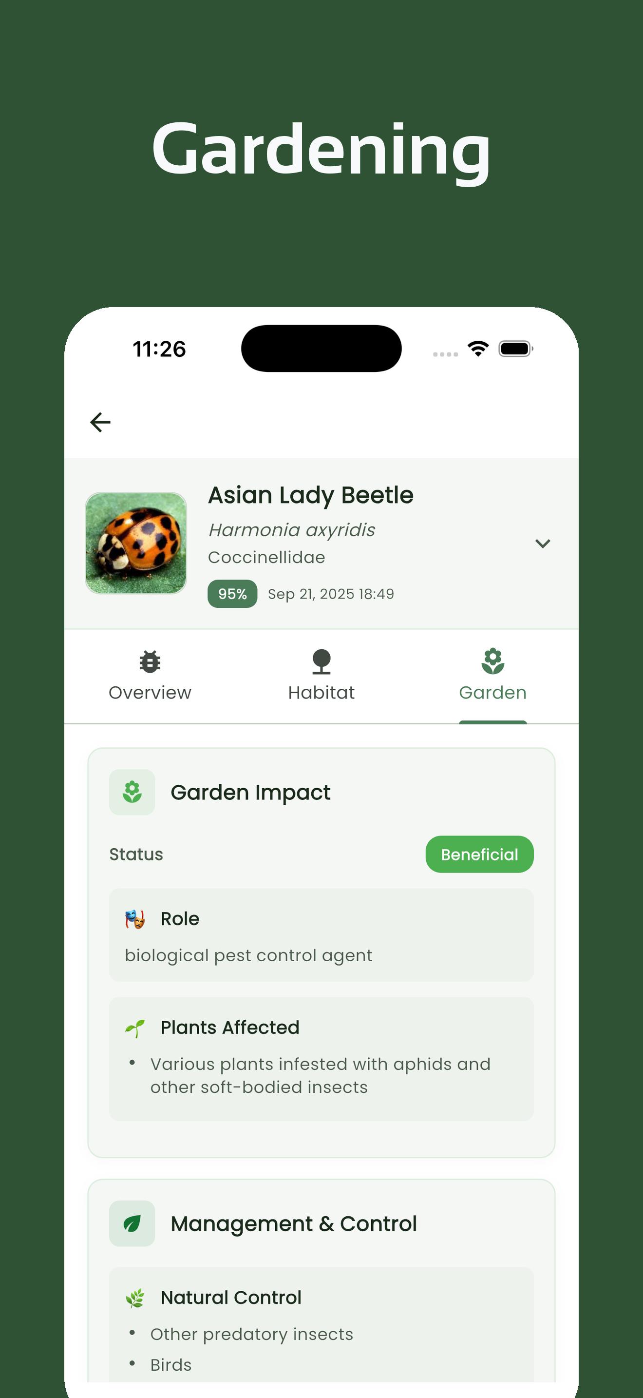 InsectsLen Screenshot 6